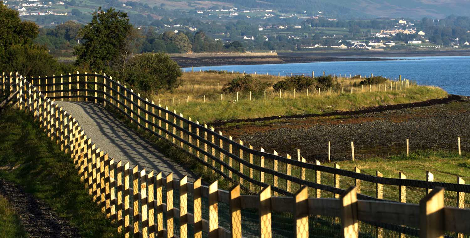 Carlingford Greenway